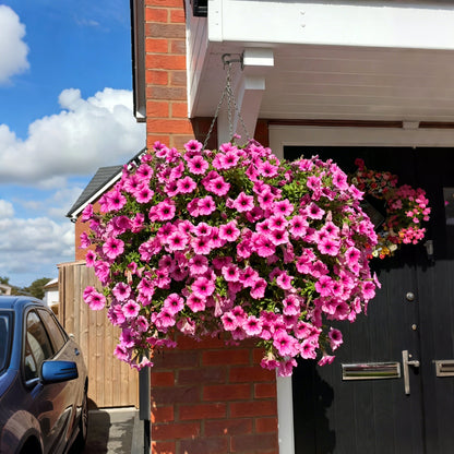 🔥UV Resistant Artificial Petunias Flowers🌺