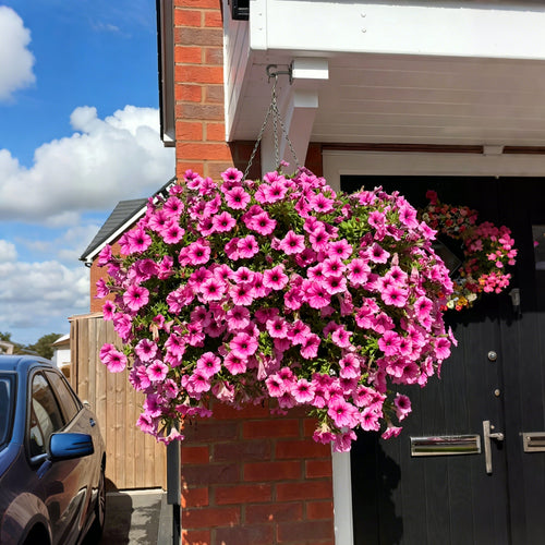 🔥UV Resistant Artificial Petunias Flowers🌺