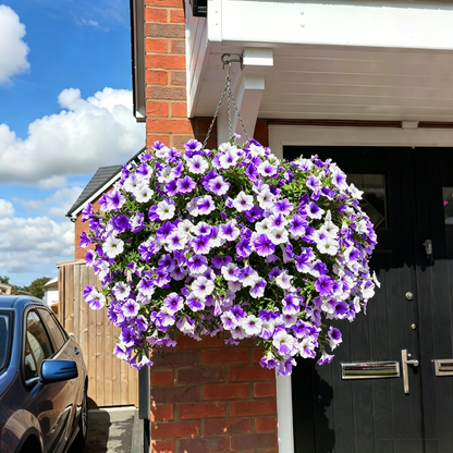 🔥UV Resistant Artificial Petunias Flowers🌺